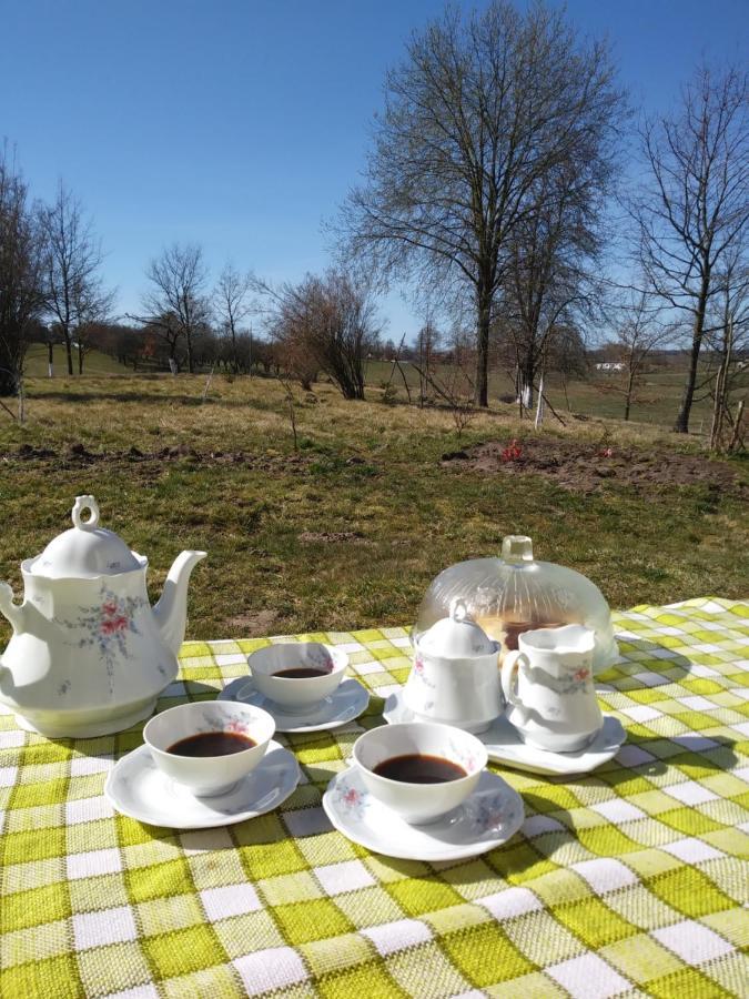 Kolno  Miejsce Mocy Mazury 아파트 외부 사진