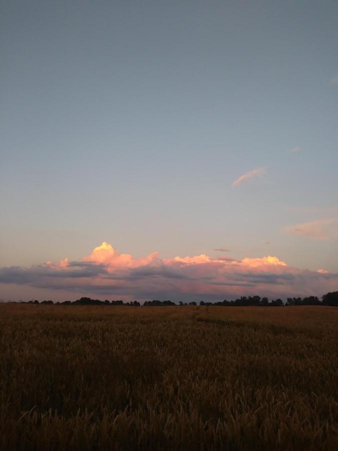 Kolno  Miejsce Mocy Mazury 아파트 외부 사진