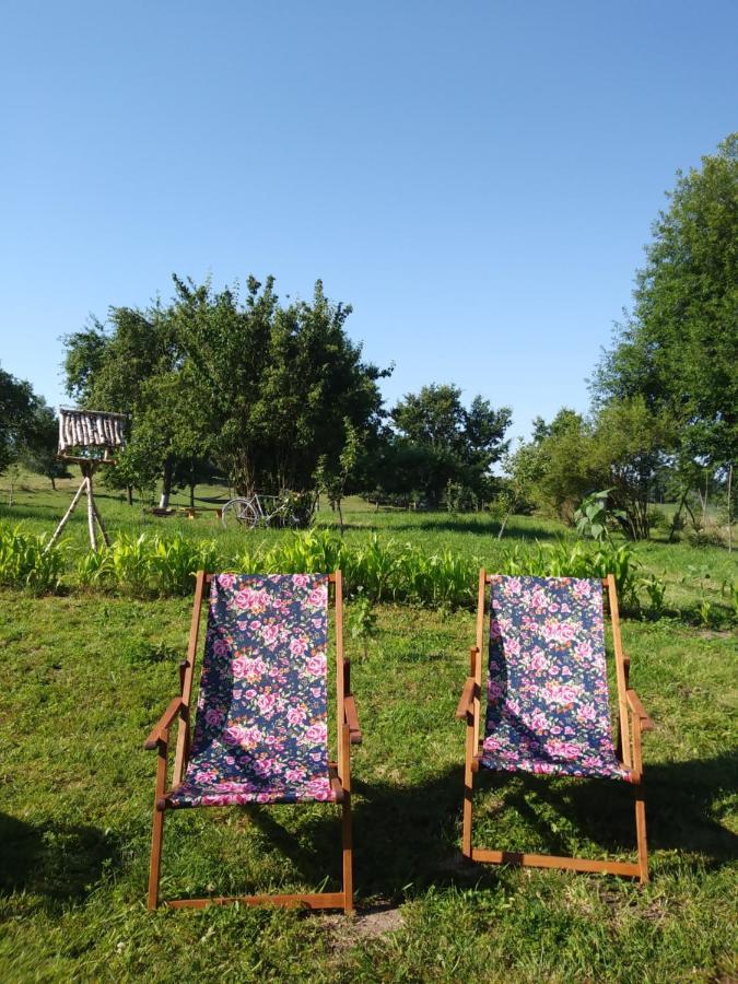 Kolno  Miejsce Mocy Mazury 아파트 외부 사진